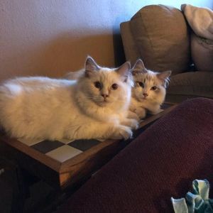 Meet your Posher, Judith